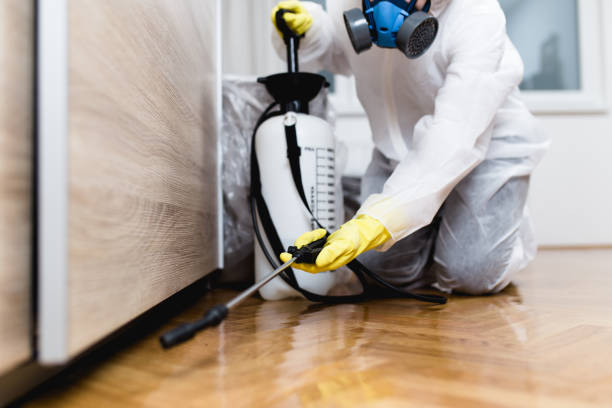 Best Emergency Pest Control  in Bloomingdale, TN