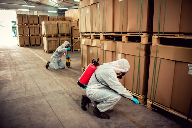 Best Pest Control Near Me  in Bloomingdale, TN