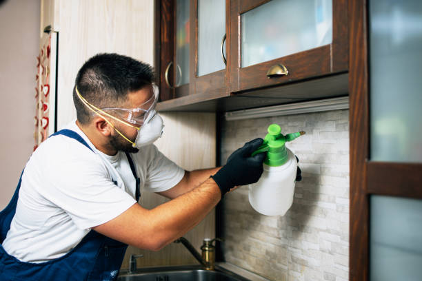 Best Commercial Pest Control Services  in Bloomingdale, TN