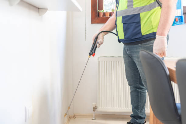 Best Rat Extermination Near Me  in Bloomingdale, TN