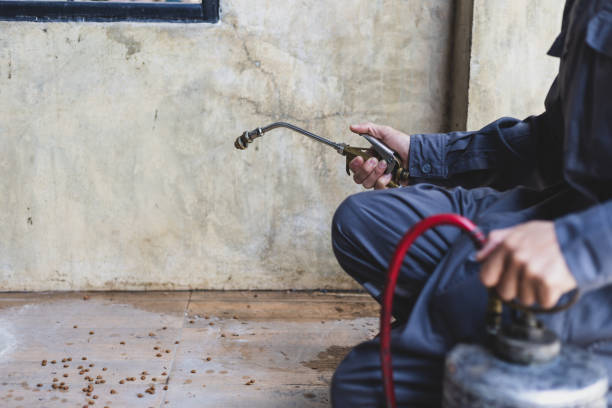 Best Pest Control for Restaurants  in Bloomingdale, TN
