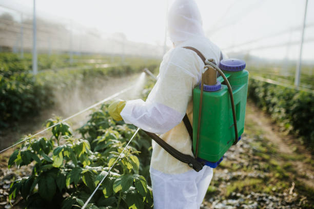 Best Termite Control Services  in Bloomingdale, TN